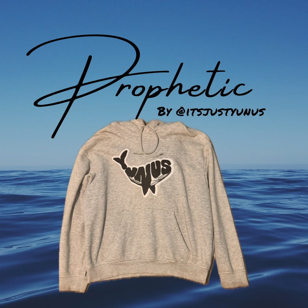 “YUNUS’S WHALE” hoodie