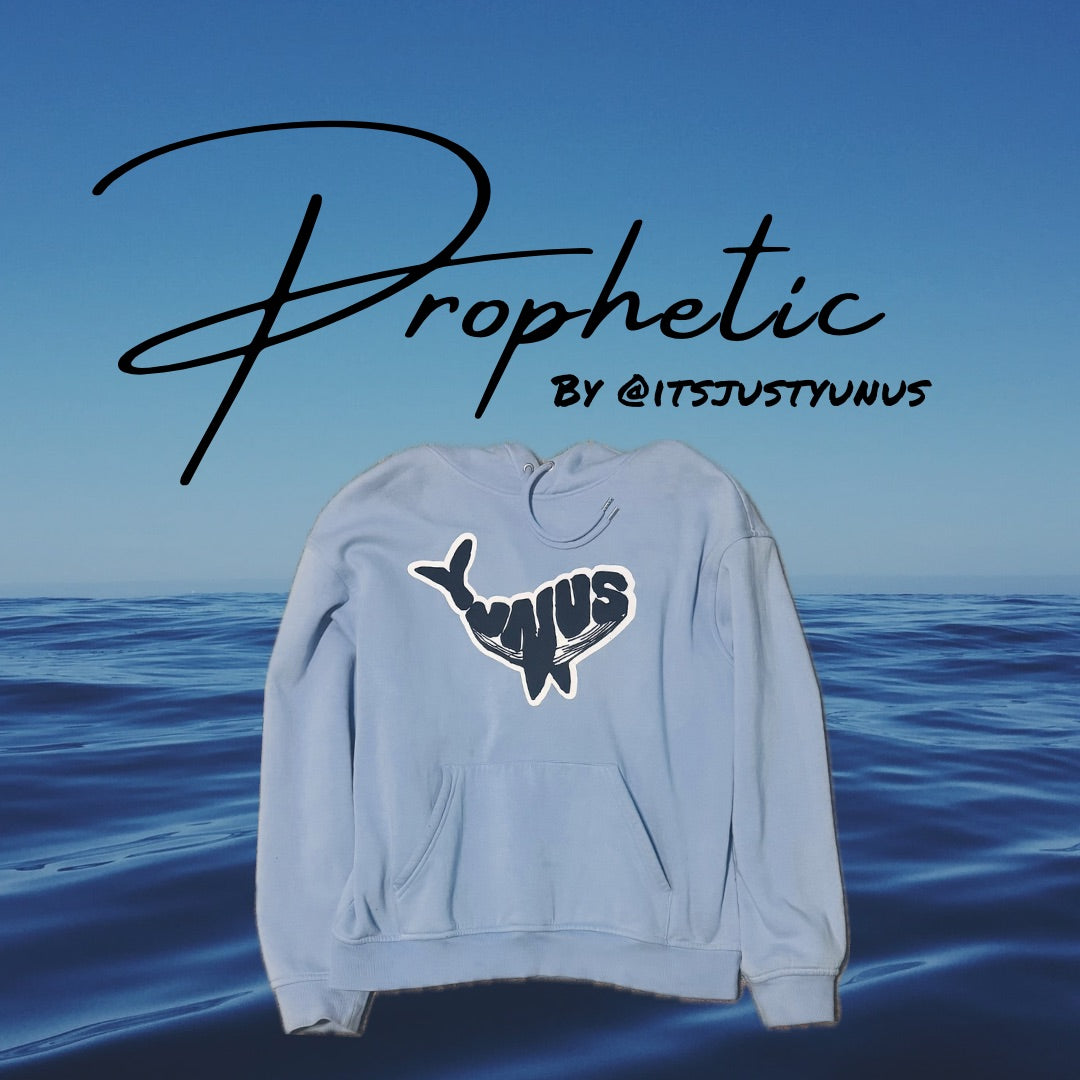 “YUNUS’S WHALE” hoodie